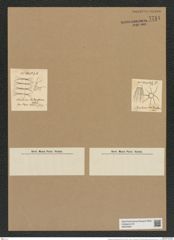 Chaetoceros bacteriastrum Wall. (de-Toni-Nr.: Genus 149, Species 4153) Zeichnungen Sammlung Grunow Nr. 7714 (NHMW-BOT-W0376921)